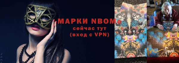 шишки Медногорск