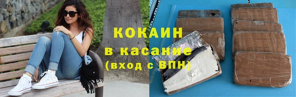 шишки Медногорск