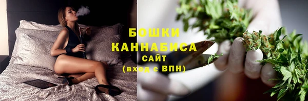шишки Медвежьегорск
