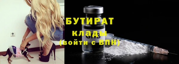 шишки Медвежьегорск