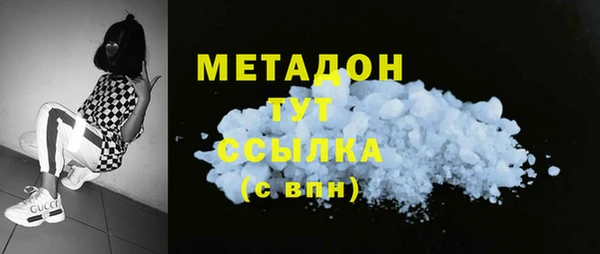 шишки Медвежьегорск