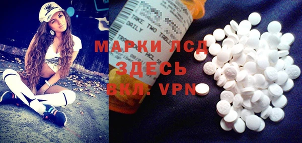 шишки Медвежьегорск