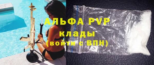 шишки Медвежьегорск