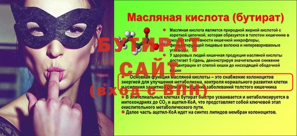 шишки Медвежьегорск