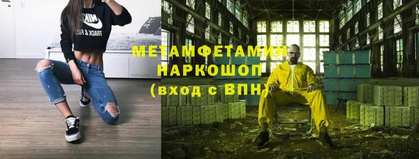 шишки Медвежьегорск