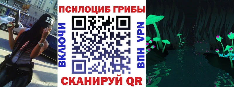 Псилоцибиновые грибы Psilocybine cubensis  Архангельск 